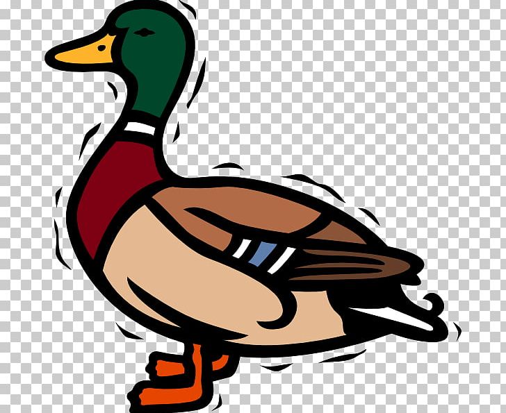 Duck Mallard Free Content PNG, Clipart, Artwork, Beak, Bird, Blog, Download Free PNG Download