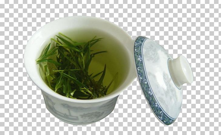 Green Tea Drinking Health PNG, Clipart, Background Green, Blood, China, Chinese New Year, Chinese Style Free PNG Download