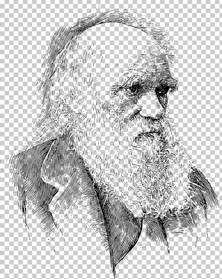 On The Origin Of Species The Voyage Of The Beagle Darwin Day Darwinism Evolution PNG, Clipart, Alfred Russel Wallace, Art, Artwork, Beard, Biologist Free PNG Download