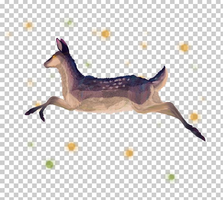 Deer Canidae Drawing Show Jumping PNG, Clipart, Animals, Canidae, Carnivoran, Coyote, Deer Free PNG Download