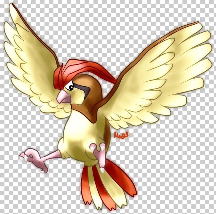 Pokémon Evolution Pidgey Pidgeotto Chicken PNG, Clipart, Art, Bayleef, Beak, Bird, Cartoon Free PNG Download