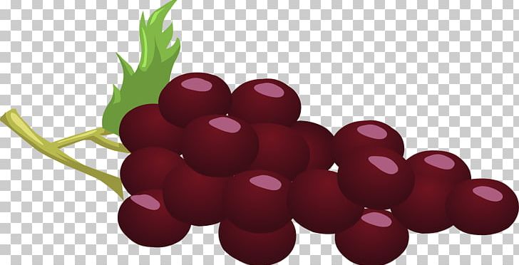 Red Wine Common Grape Vine PNG, Clipart, Cherry, Computer Icons, Cranberry, Flowering Plant, Food Free PNG Download