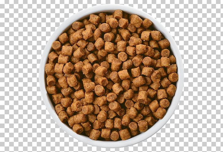 Dog Food Hill's Pet Nutrition Veterinarian PNG, Clipart,  Free PNG Download