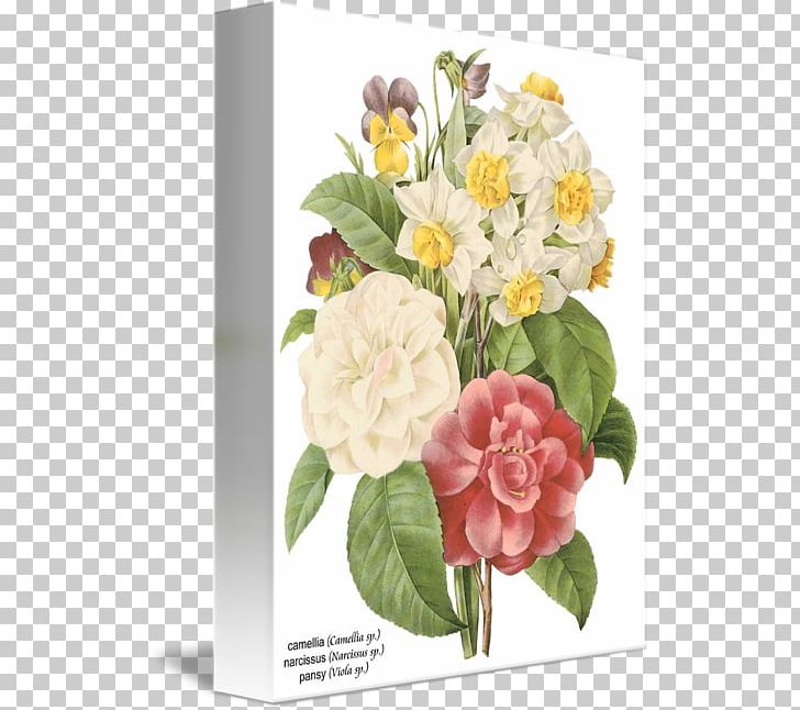 Flower Botanical Illustration Botany PNG, Clipart, Artificial Flower, Botanical Illustration, Botany, Cut Flowers, Drawing Free PNG Download
