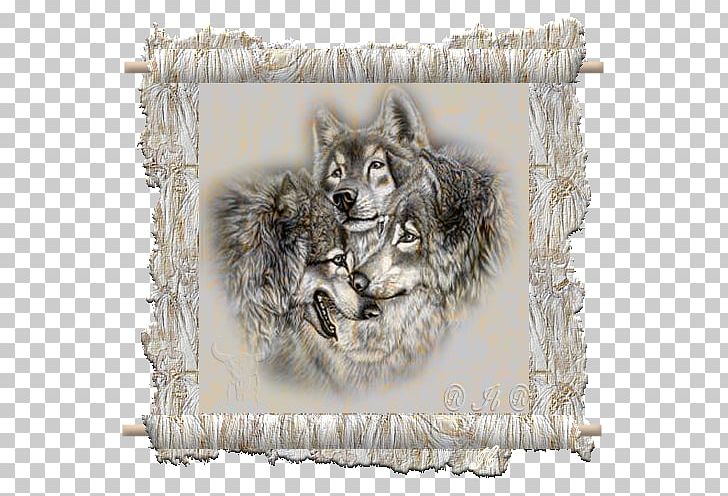 Gray Wolf Drawing Paper Painting PNG, Clipart, Blog, Book, Carnivoran, Dog Like Mammal, Drawing Free PNG Download