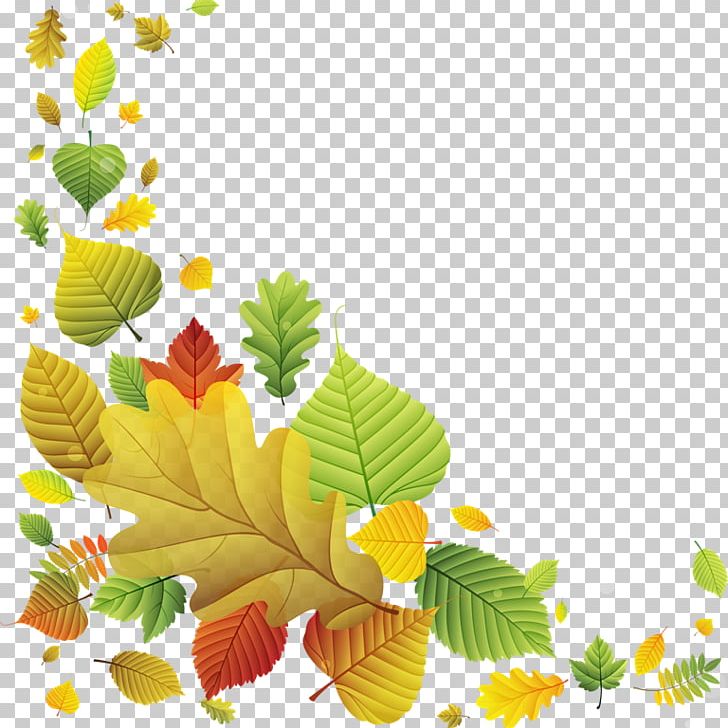 Leaf Yellow Frames PNG, Clipart, Autumn, Autumn Leaf Color, Branch, Drawing, Flora Free PNG Download