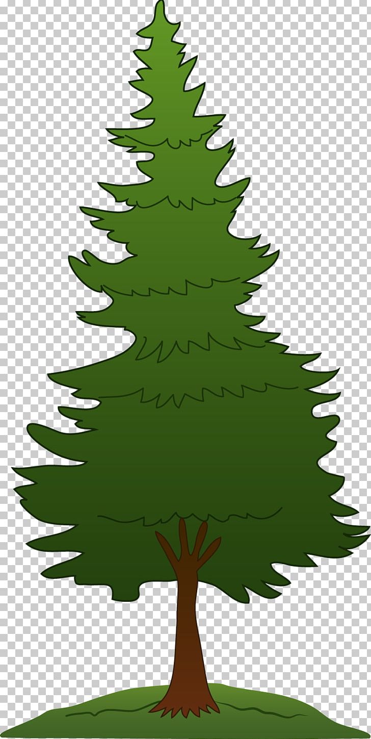 Pine Tree Evergreen PNG, Clipart, Branch, Christmas Decoration, Christmas Ornament, Christmas Tree, Coast Redwood Free PNG Download