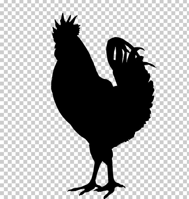 Silkie Rooster Silhouette PNG, Clipart, Animals, Bantam, Beak, Bird, Black And White Free PNG Download