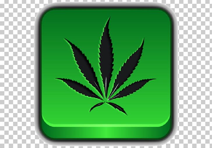 Cannabis 420 Day PNG, Clipart, 420 Day, Apk, Bible, Cannabis, Cannabis Smoking Free PNG Download