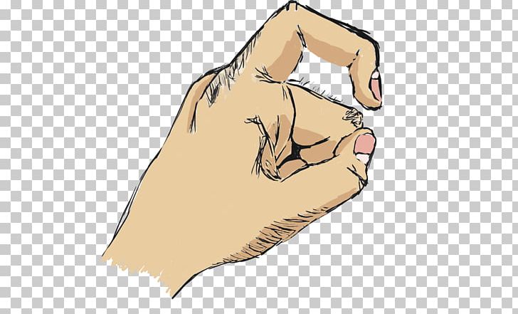 Cat Canidae Thumb Dog Paw PNG, Clipart, Animals, Arm, Canidae, Carnivoran, Cat Free PNG Download