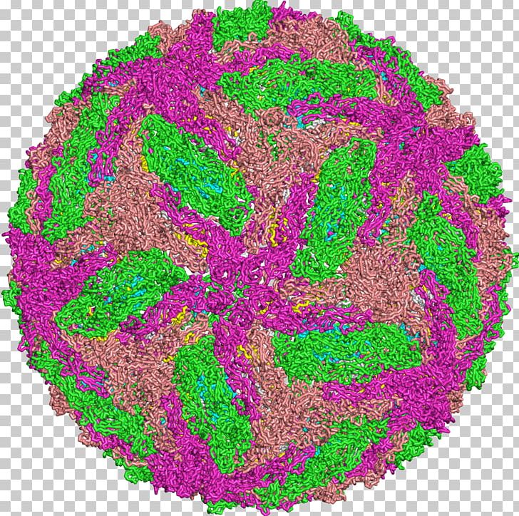 Dengue Virus Disease Leaf PNG, Clipart, 2018, Calendar, Circle, Dengue, Dengue Virus Free PNG Download