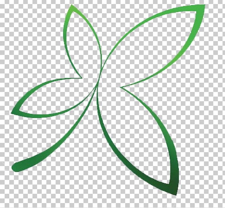 Leaf Green Line Plant Stem PNG, Clipart, Album Design Material, Angle, Area, Artwork, Circle Free PNG Download