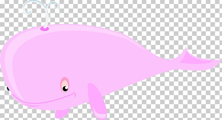 Marine Mammal PNG, Clipart, Art, Carnivora, Carnivoran, Cartoon, Cetacea Free PNG Download