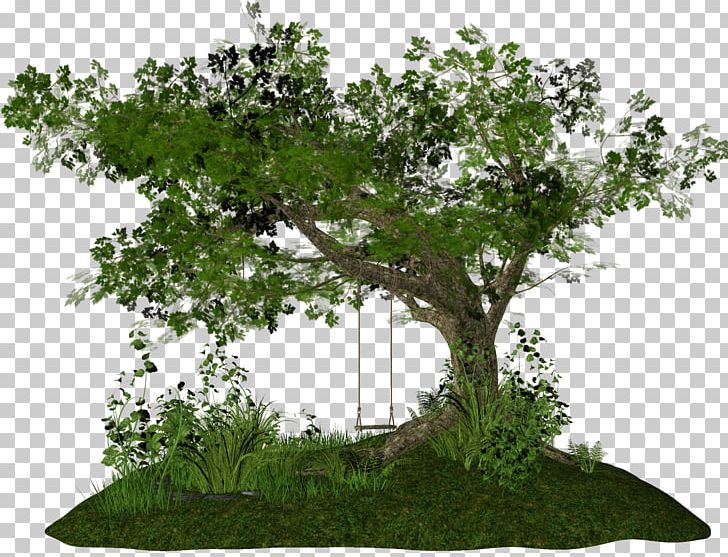PhotoScape Tree PNG, Clipart, Branch, Bushes, Clip Art, Computer Icons, Encapsulated Postscript Free PNG Download