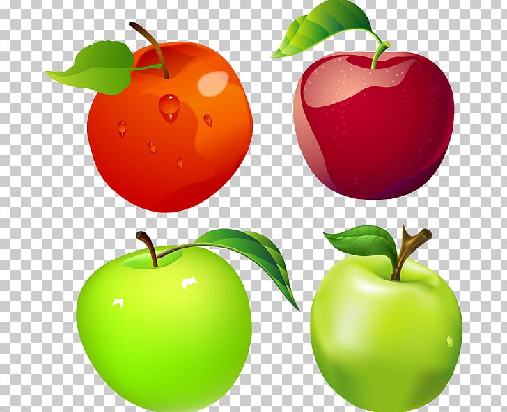 Apple PNG, Clipart, Accessory Fruit, Acerola, Acerola Family, Apple, Apples And Oranges Free PNG Download