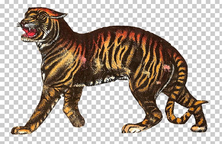 Circus Tiger Drawing PNG, Clipart, Animal, Animal Figure, Art, Big Cats, Black And White Free PNG Download
