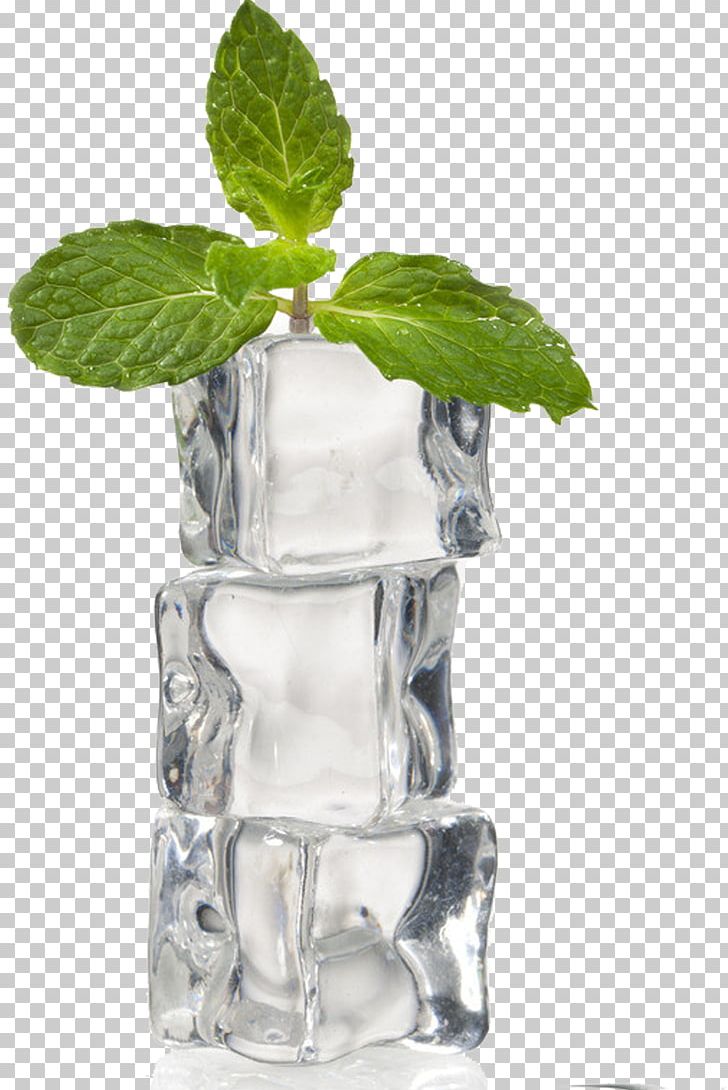 Ice Cube Mint PNG, Clipart, Cool, Cool Off, Cube, Data Compression, Designer Free PNG Download