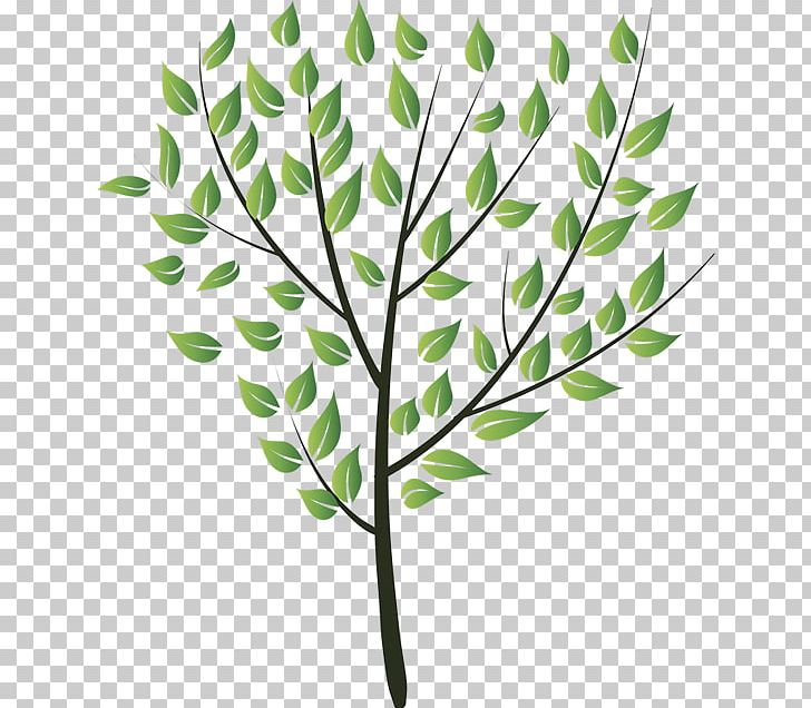 Drawing PNG, Clipart, Art, Branch, Drawing, Flora, Grass Free PNG Download