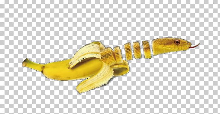 Banana Snake Animal Fruit Vegetable PNG, Clipart, Animal, Animals, Art, Artist, Auglis Free PNG Download