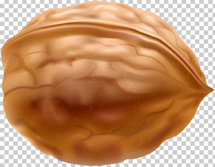 Praline Walnut PNG, Clipart, Almond, Food, Fruit, Fruit Nut, Hazelnut Free PNG Download