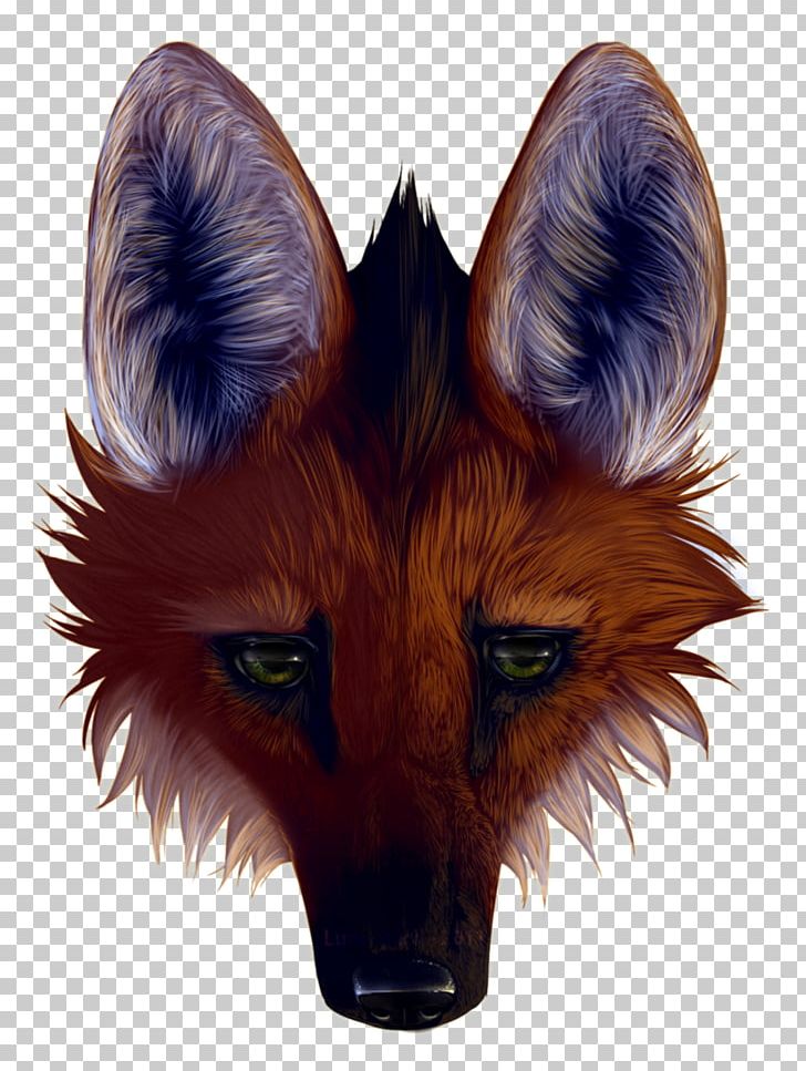 Red Fox Gray Wolf Maned Wolf Panthera Drawing PNG, Clipart, Animals, Art, Canidae, Carnivoran, Chrysocyon Free PNG Download