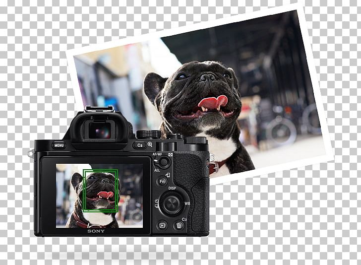 Sony Alpha 7R Sony α7 Camera Lens Full-frame Digital SLR PNG, Clipart, Autofocus, Camera, Camera Lens, Cameras Optics, Digital Camera Free PNG Download