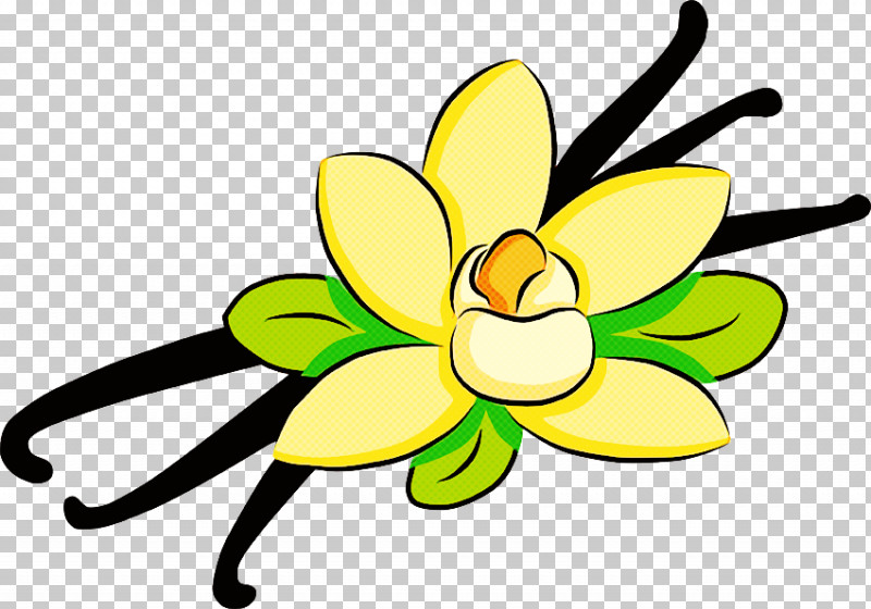 Yellow Petal Green Flower Plant PNG, Clipart, Flower, Green, Line, Narcissus, Petal Free PNG Download