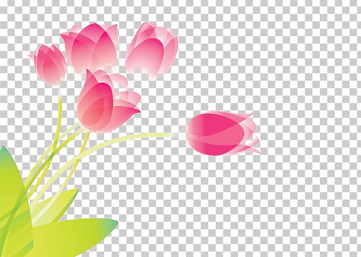 Tulip Flower Red PNG, Clipart, Collage, Computer Wallpaper, Download, Drawing, Floral Design Free PNG Download