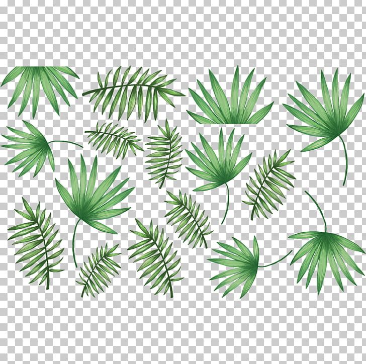 Arecaceae Palm Branch Leaf Sticker Wall Decal PNG, Clipart, Arecaceae, Arecales, Blue, Branch, Coconut Free PNG Download