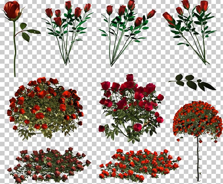 Floral Design Garden Roses Flower IFolder Petal PNG, Clipart, Aquifoliaceae, Branch, Cut Flowers, Depositfiles, Flora Free PNG Download