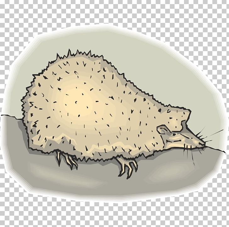 Hedgehog Fauna Jaw Fish .cf PNG, Clipart, Animals, Erinaceidae, Fauna, Fish, Hedgehog Free PNG Download