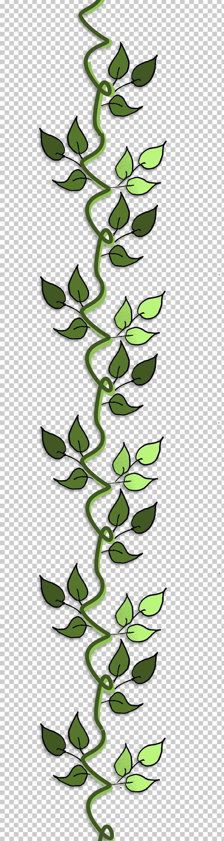 Leaf Plant Stem Line PNG, Clipart, Bird, Branch, Branching, Flora, Grass Free PNG Download