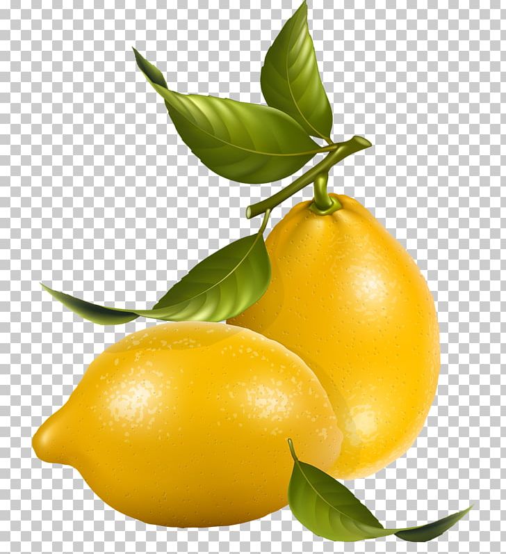 Lemon PNG, Clipart, Calamondin, Cartoon, Citrus, Encapsulated Postscript, Food Free PNG Download