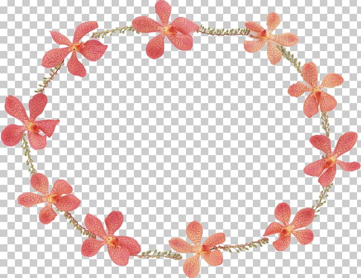 Umeboshi Food Plum Blossom Shop Salting PNG, Clipart, Body Jewelry, Fashion Accessory, Flower, Food, Honey Free PNG Download