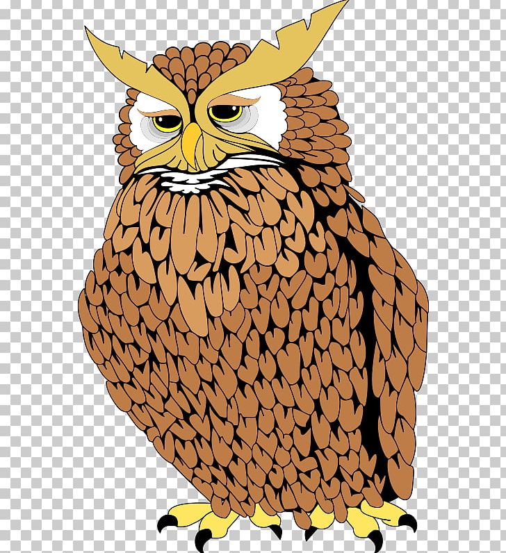Owl PNG, Clipart, Animals, Beak, Bird, Bird Of Prey, Black And White Free PNG Download