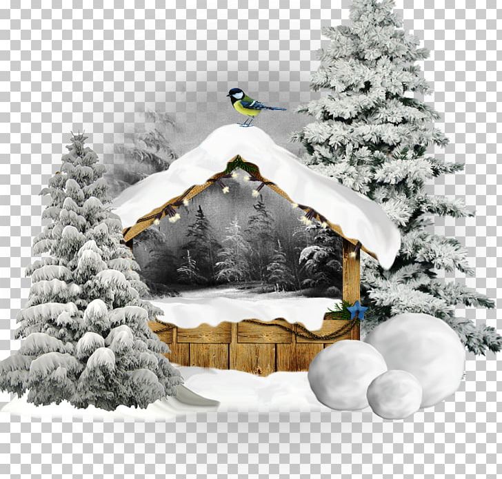 Snow Winter Desktop PNG, Clipart, Christmas, Christmas Decoration, Christmas Ornament, Christmas Tree, Conifer Free PNG Download