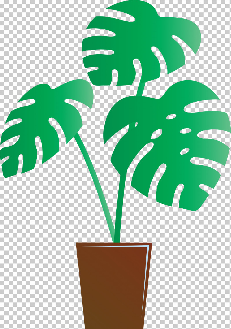 Monstera Tropical Leaf PNG, Clipart, Arecales, Biology, Flower, Flowerpot, Green Free PNG Download