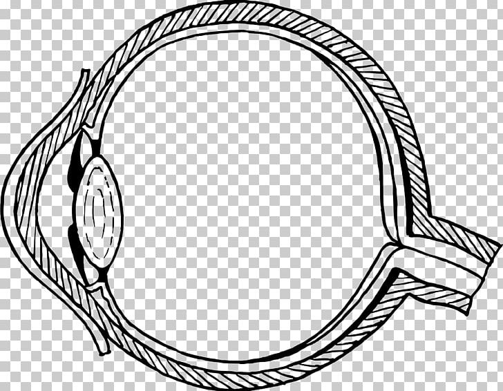 Wiring Diagram Human Eye Eye Pattern PNG, Clipart, Anatomy, Artwork, Biology, Black And White, Chart Free PNG Download