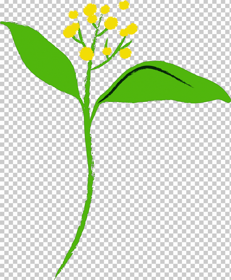 Flower Alpine Forget-me-not Plant Leaf Pedicel PNG, Clipart, Alpine Forgetmenot, Flower, Goldenrod, Herbaceous Plant, Leaf Free PNG Download