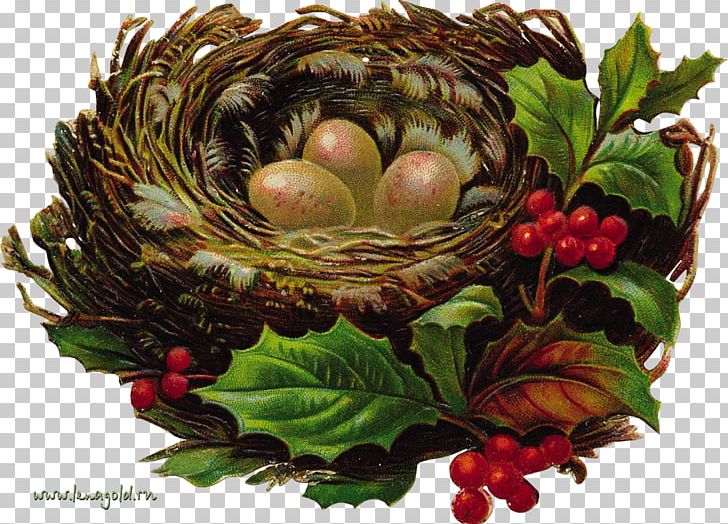 Bird Nest Paper Christmas Ornament PNG, Clipart, Animals, Bird, Bird Egg, Bird Nest, Centrepiece Free PNG Download