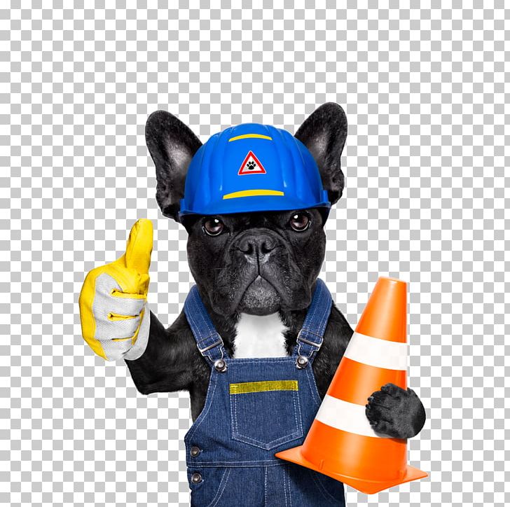 Boxer Stock Photography Pet Illustration PNG, Clipart, Animals, Carnivoran, Companion Dog, Construction, Creative Ads Free PNG Download