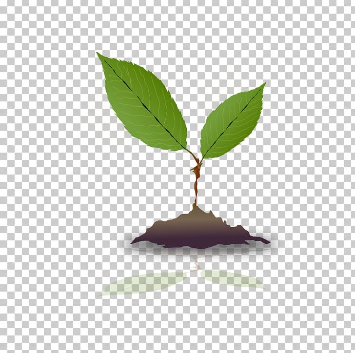 Green Modern Plant Decoration PNG, Clipart, Grass, Grassland, Green, Other, Outing Free PNG Download
