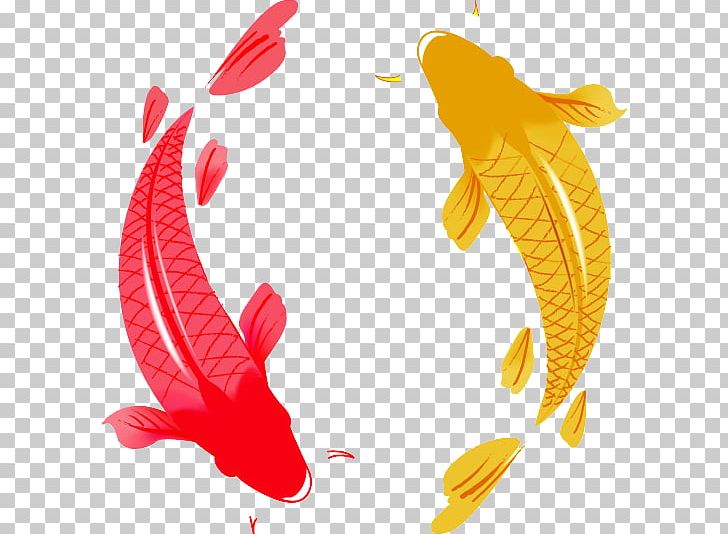 Koi Carp Photography PNG, Clipart, Animal Figure, Animals, Beak, Carp, Clip Art Free PNG Download