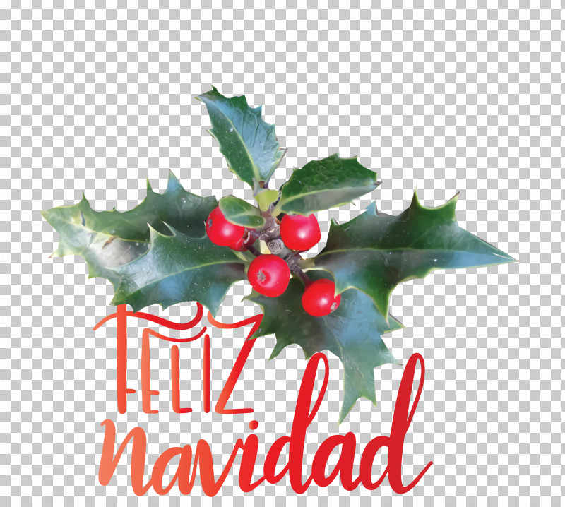 Feliz Navidad Merry Christmas PNG, Clipart, Birthday, Cartoon, Christmas Day, Christmas Gift, Christmas Ornament Free PNG Download