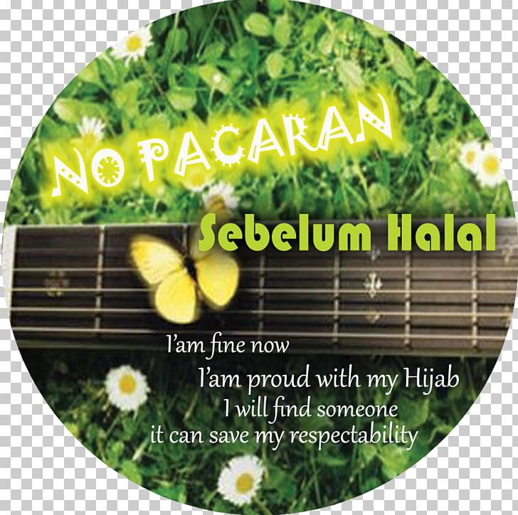 Raisa Herbal Dawah Leaf Vegetable Islam PNG, Clipart, Bandung, Caliphate, Capsule, Dawah, Drug Free PNG Download