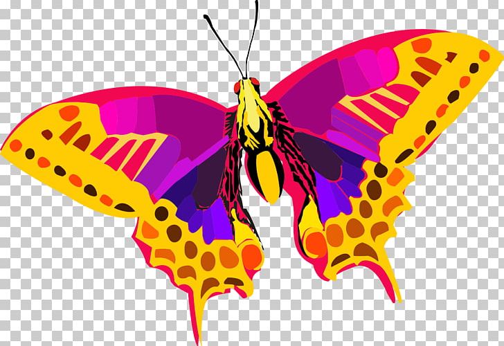 Butterfly Insect PNG, Clipart, Animal, Arthropod, Brush Footed Butterfly, Butterfly, Color Free PNG Download