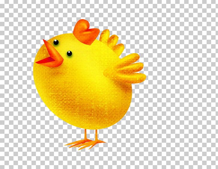 Chickens As Pets Kifaranga PNG, Clipart, Beak, Bird, Chick, Chicken, Chicken Coop Free PNG Download