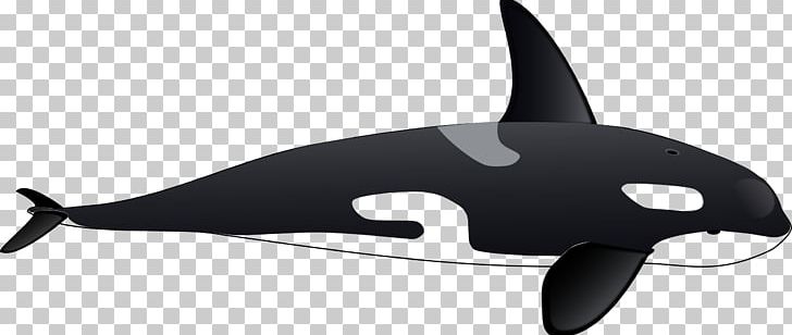 Killer Whale Drawing PNG, Clipart, Animal Figure, Animals, Animation, Black, Black And White Free PNG Download