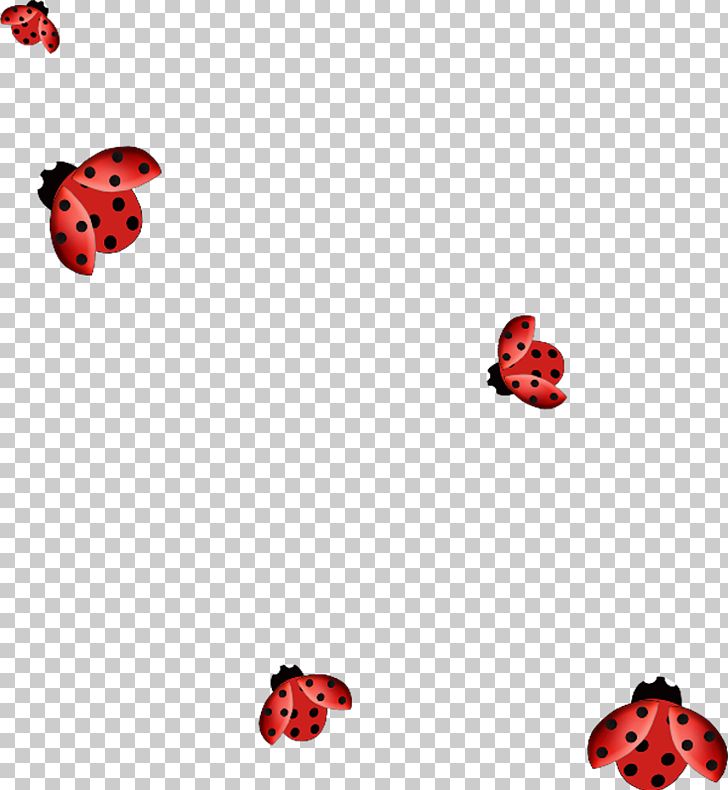Ladybird Beetle PNG, Clipart, Coccinella Septempunctata, Computer Icons, Cute Ladybug, Design, Font Free PNG Download