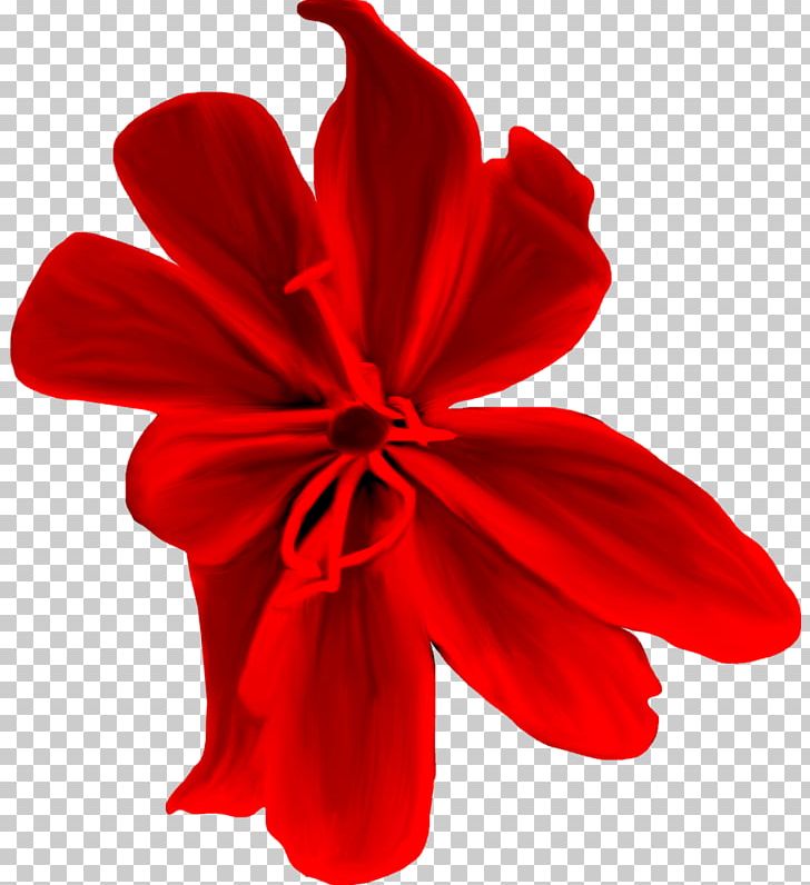 Petal Cut Flowers P!nk PNG, Clipart, Cut Flowers, Dekoratif, Flower, Flowering Plant, Magenta Free PNG Download